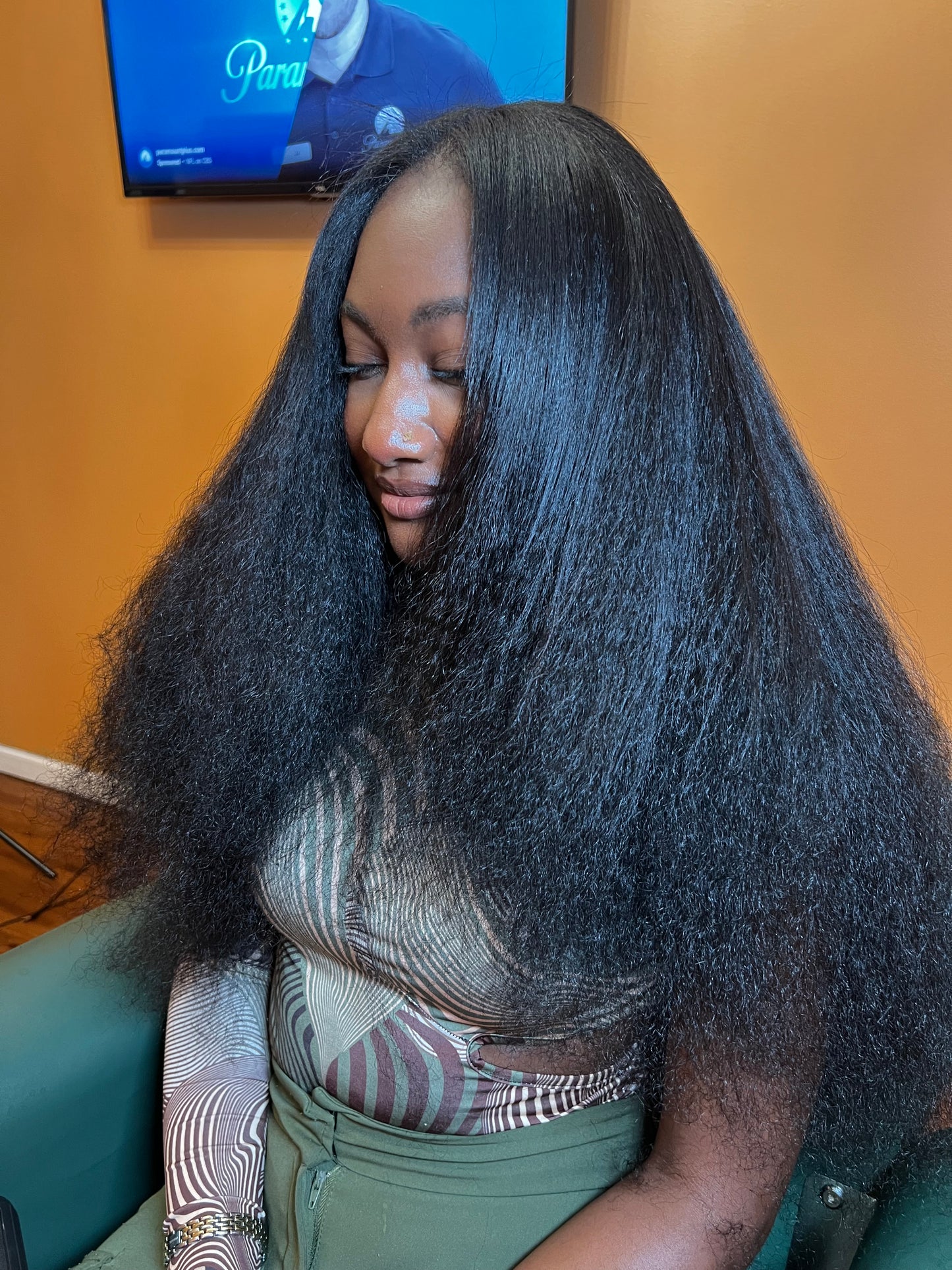 Burmese  Curl