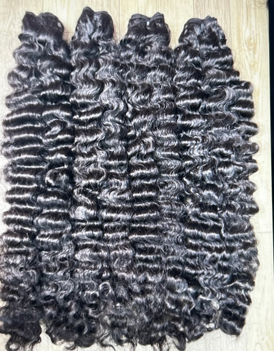 Burmese  Curl